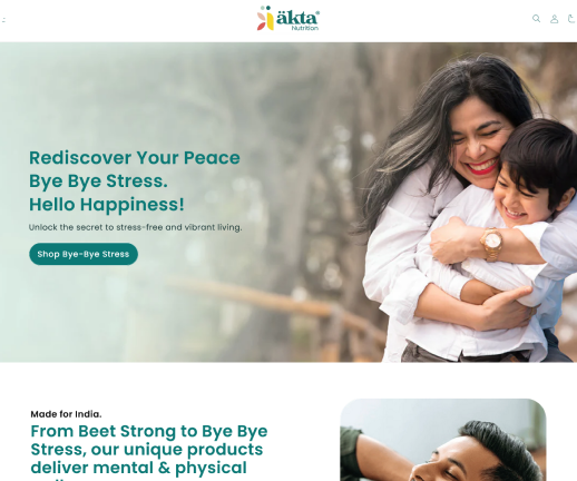Website Preview 2